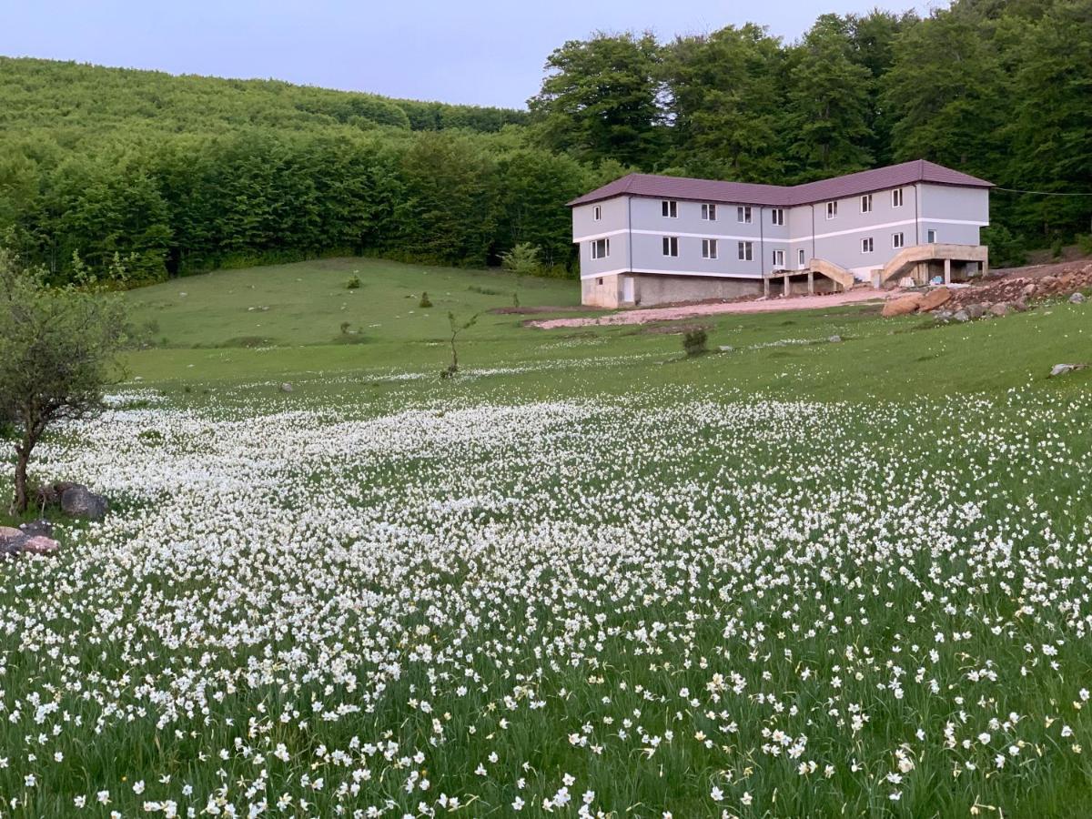 Maison d'hôtes Bujtina Shehu